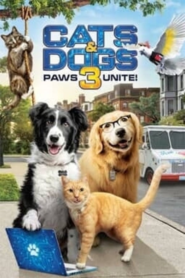 bobs for cats and dogs
