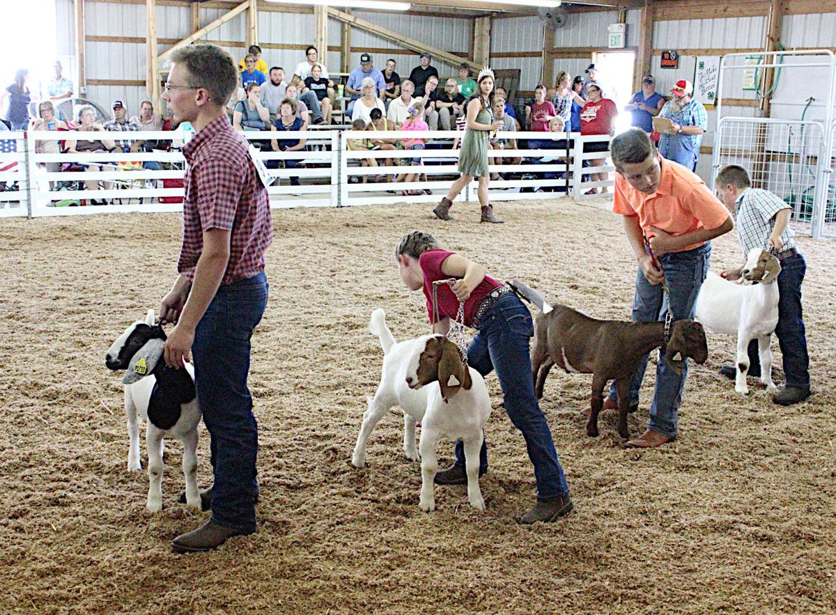 SNAPSHOTS Wednesday's scenes from the White County 4H Fair Photos