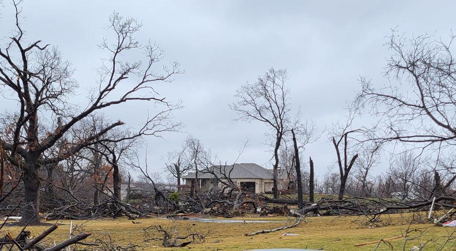 Tornado downs trees and poles, rips off roofs in Wheatfield | News ...