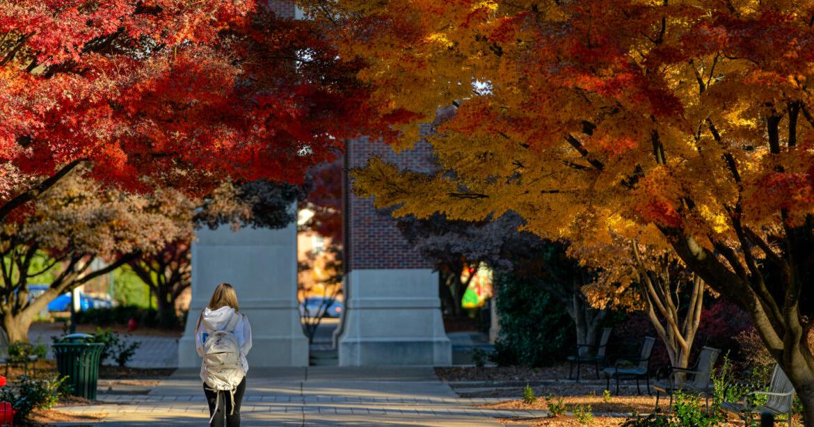 University of Mississippi Fall Student of West Lafayette Named to 2025 Chancellor's Honor Roll