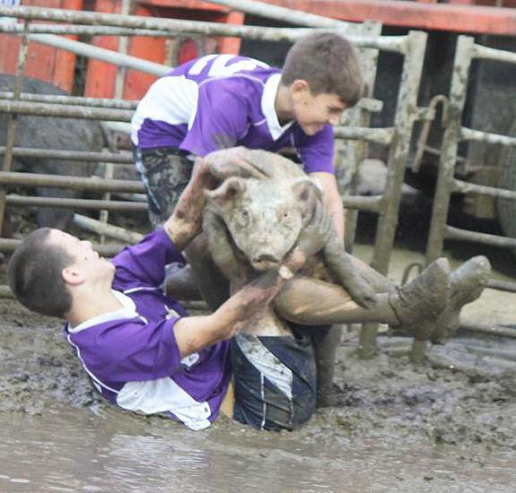 Jasper County Fair Indiana 2022