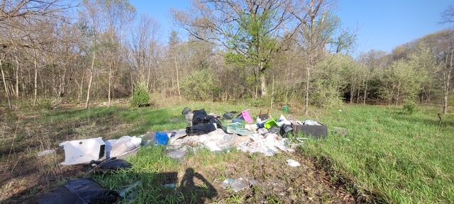 Watseka Students Restore Willow Estates in Earth Day Clean-Up Effort ...