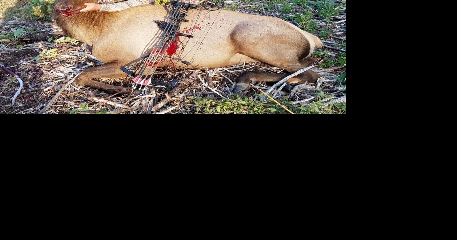 colorado elk tags leftover