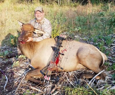 Should Elk Hunt Colorado - Diy Elk Hunt Should Elk Hunt Colorado - Diy Elk Hunt