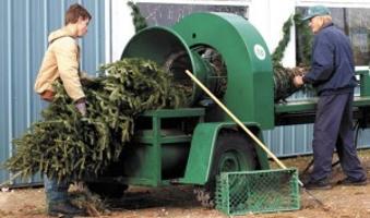 Christmas Tree Farms Can Be Profitable Business News Newsbug Info