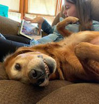 Smile of the Day