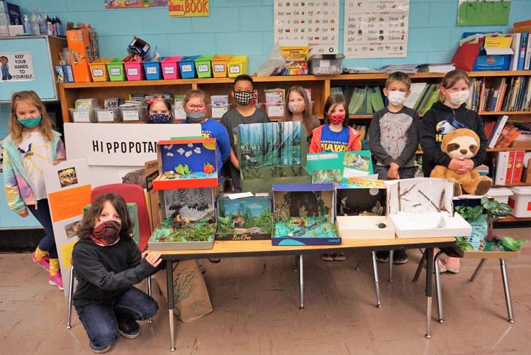 2nd graders create dioramas on various animals | Iroquois County's  Times-Republic 