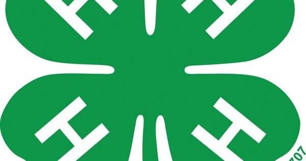 4-Hers pay it forward: Community helps local family with medical bills