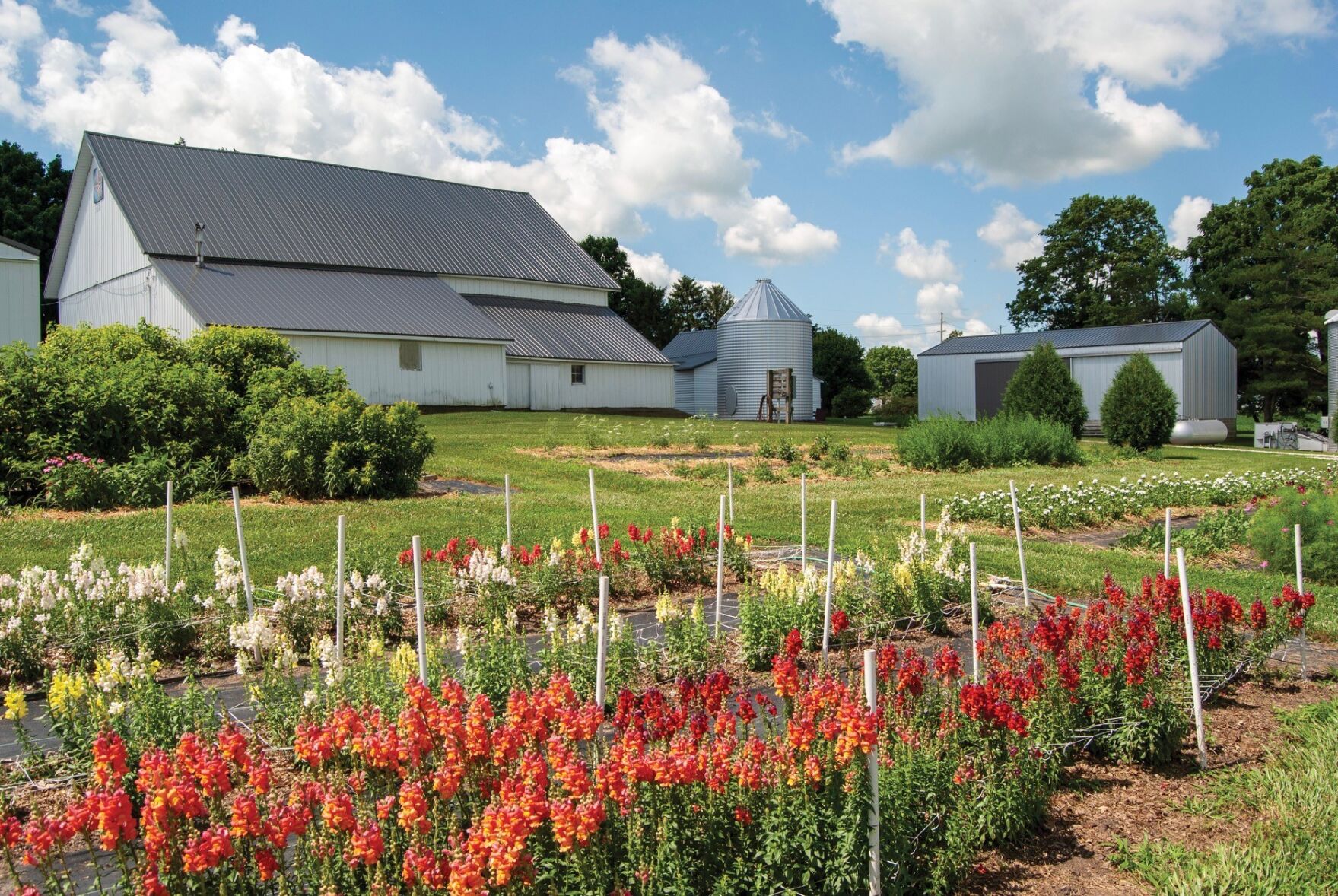 Historic farms sought for rural preservation award | News | newsbug.info