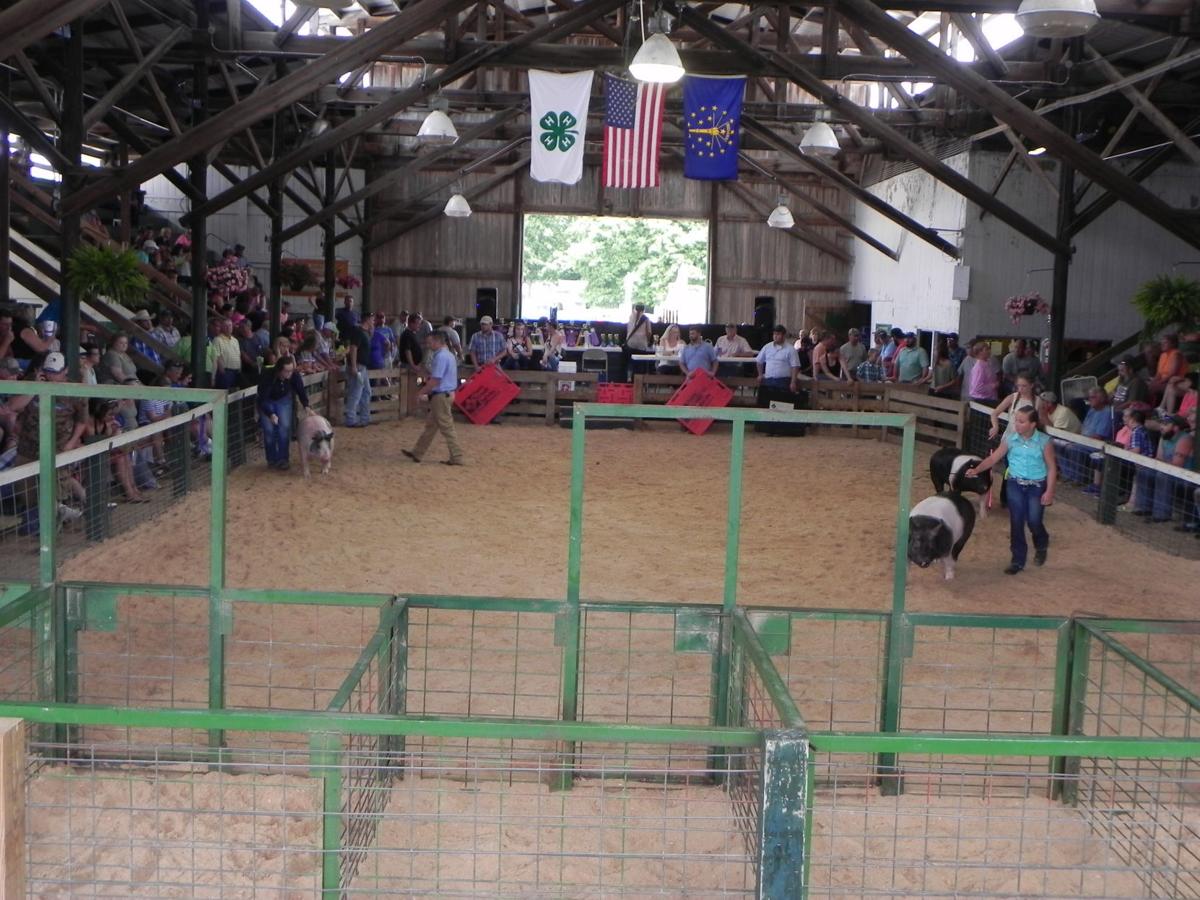 Warren County Fair 2022 Indiana