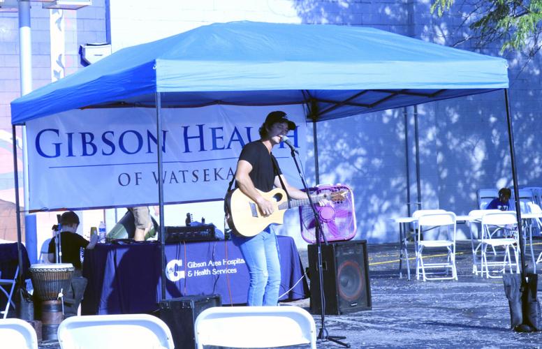 More than 30 businesses take part in Watseka Area Chamber of Commerce