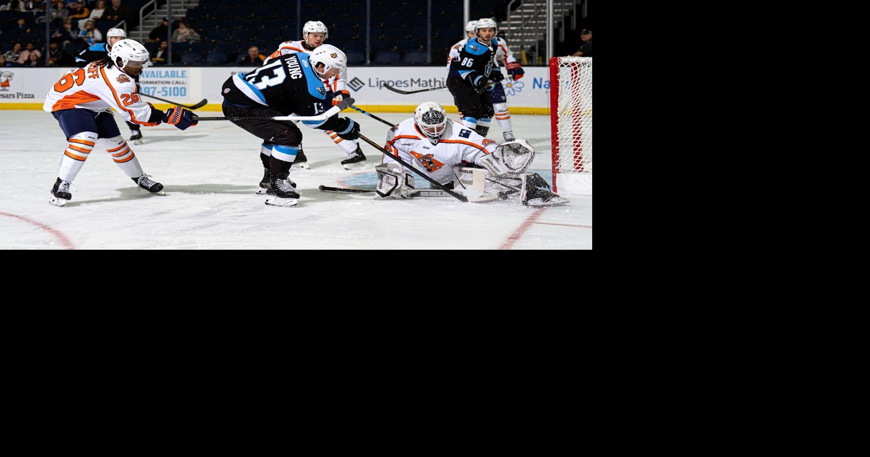 Atlanta Gladiators Defeat Swamp Rabbits in Overtime