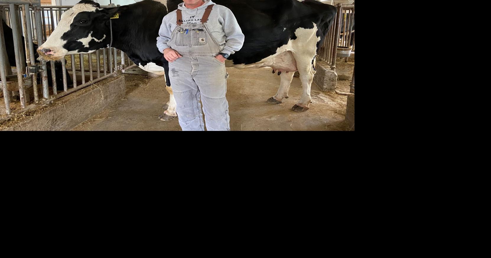 Illinois dairy farm heritage spans multiple generations Agriculture