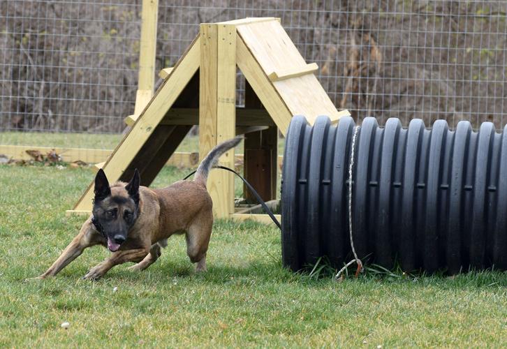 police obstacle training