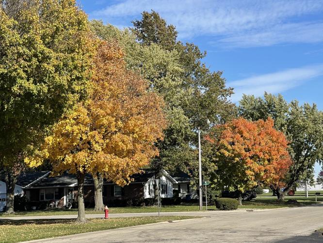 Iroquois County fall 2021 Photos newsbug.info