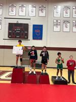 Wrestling Sectional