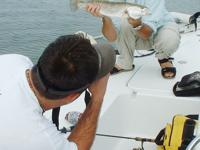 Fish Photos: Proof positive or risky evidence