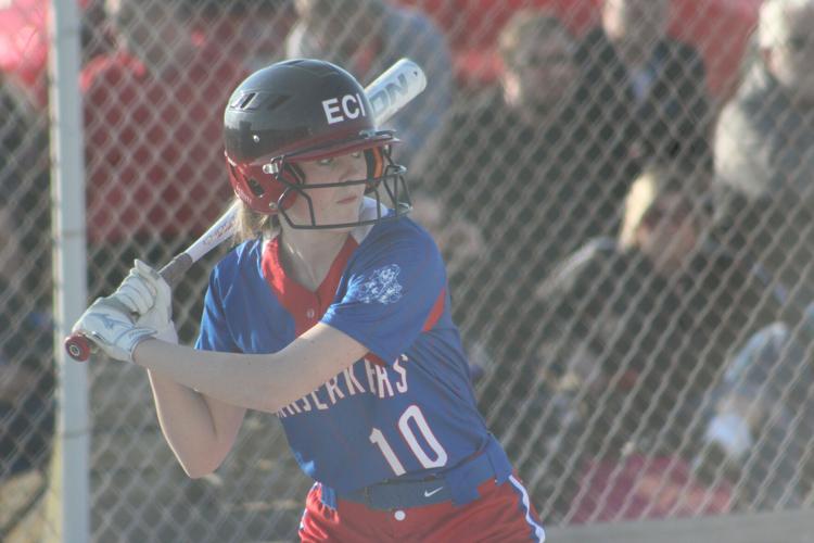 Hoopeston Area baseball, softball teams open season with wins Sports newsbug.info