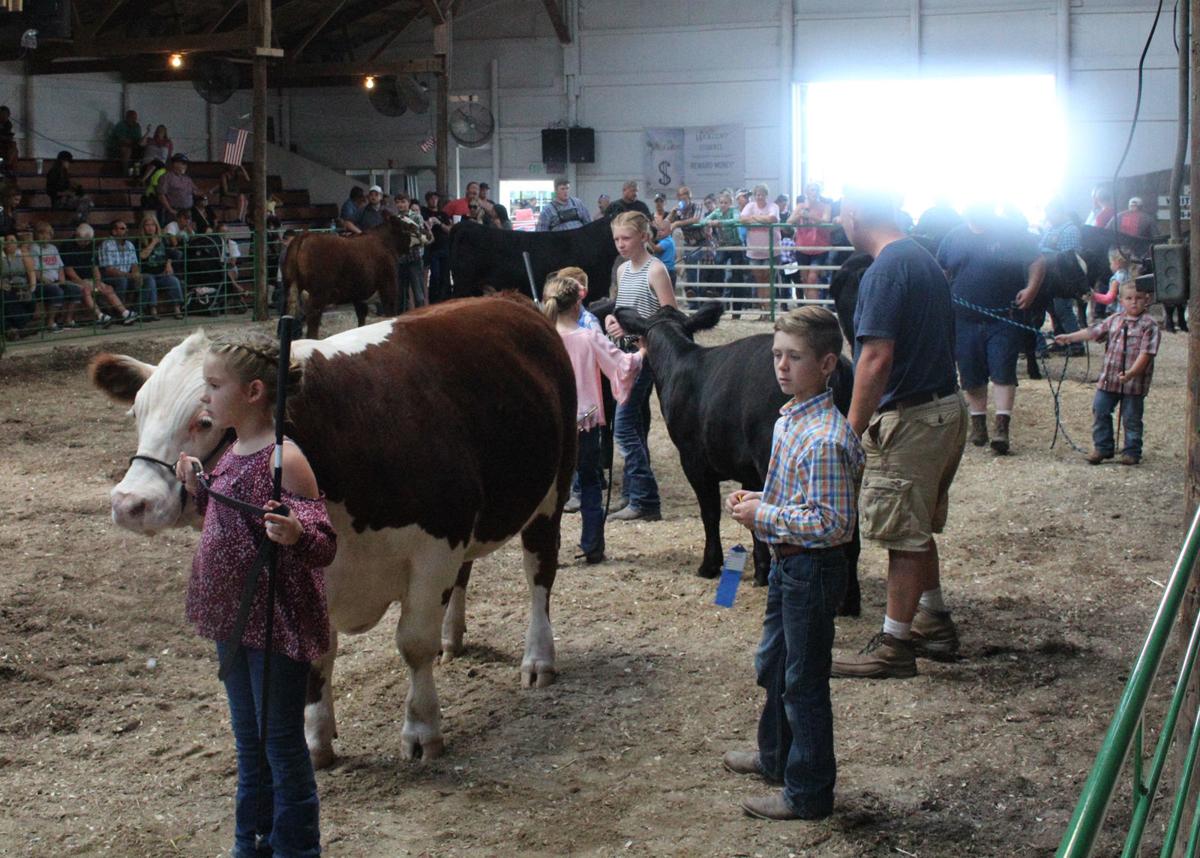 Wednesday at the White County Fair Monticello Herald Journal