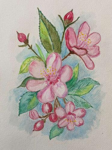 Monticello Parks and Recreation Full Schedule of May Programs | News ...