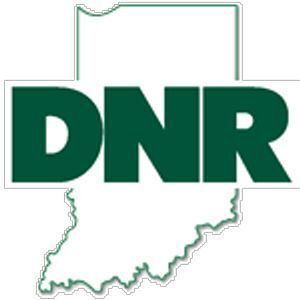 DNR logo