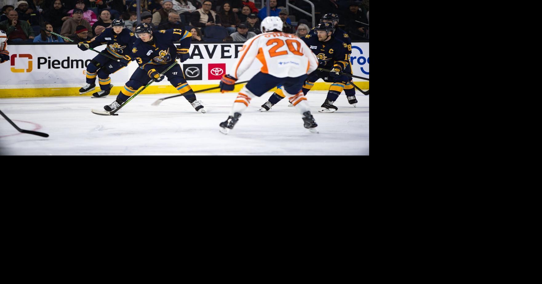 Atlanta Gladiators Fight Past Swamp Rabbits