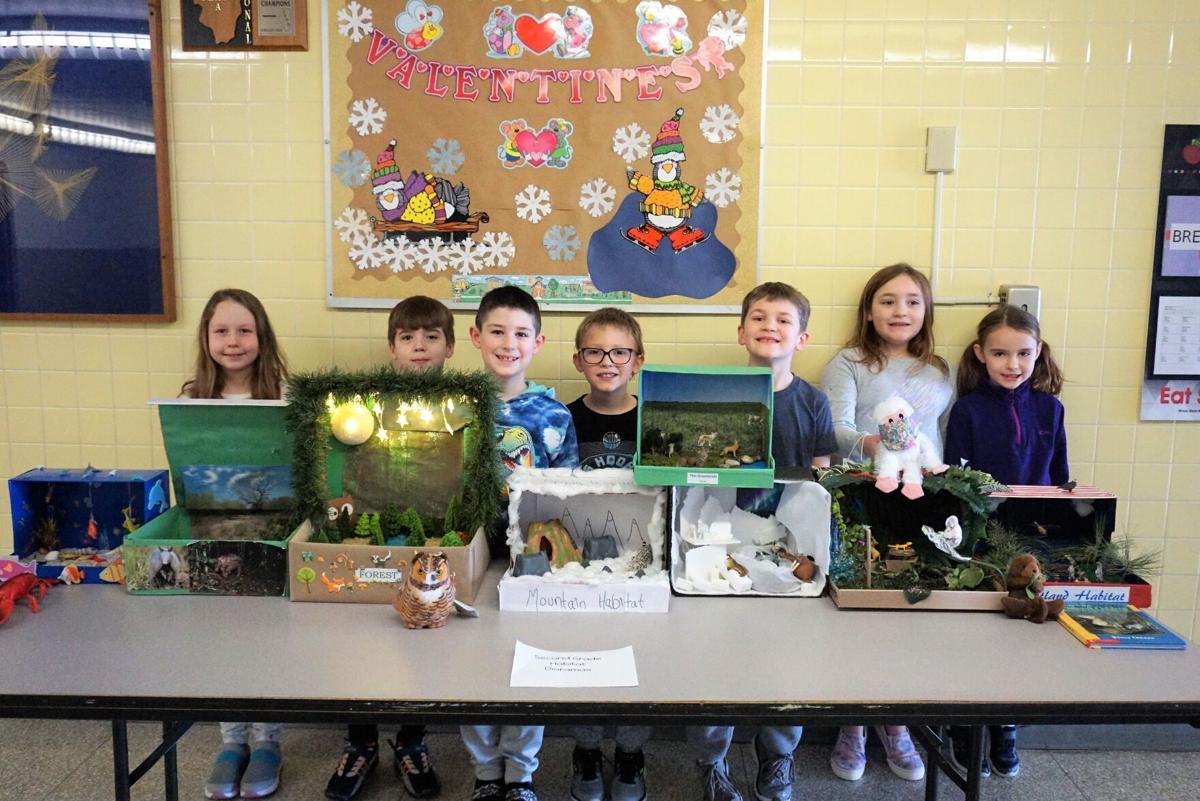 Crescent City Grade School second graders create dioramas about different  animals | Lifestyle 