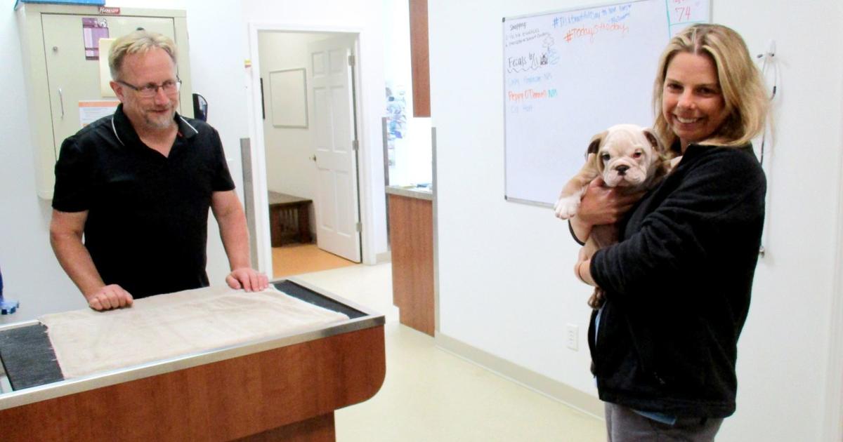 Helping animals, people are the goals of Wea Animal Hospital and owner Jill Bair | Business Helping animals, people are the goals of Wea Animal Hospital and owner Jill Bair | Business