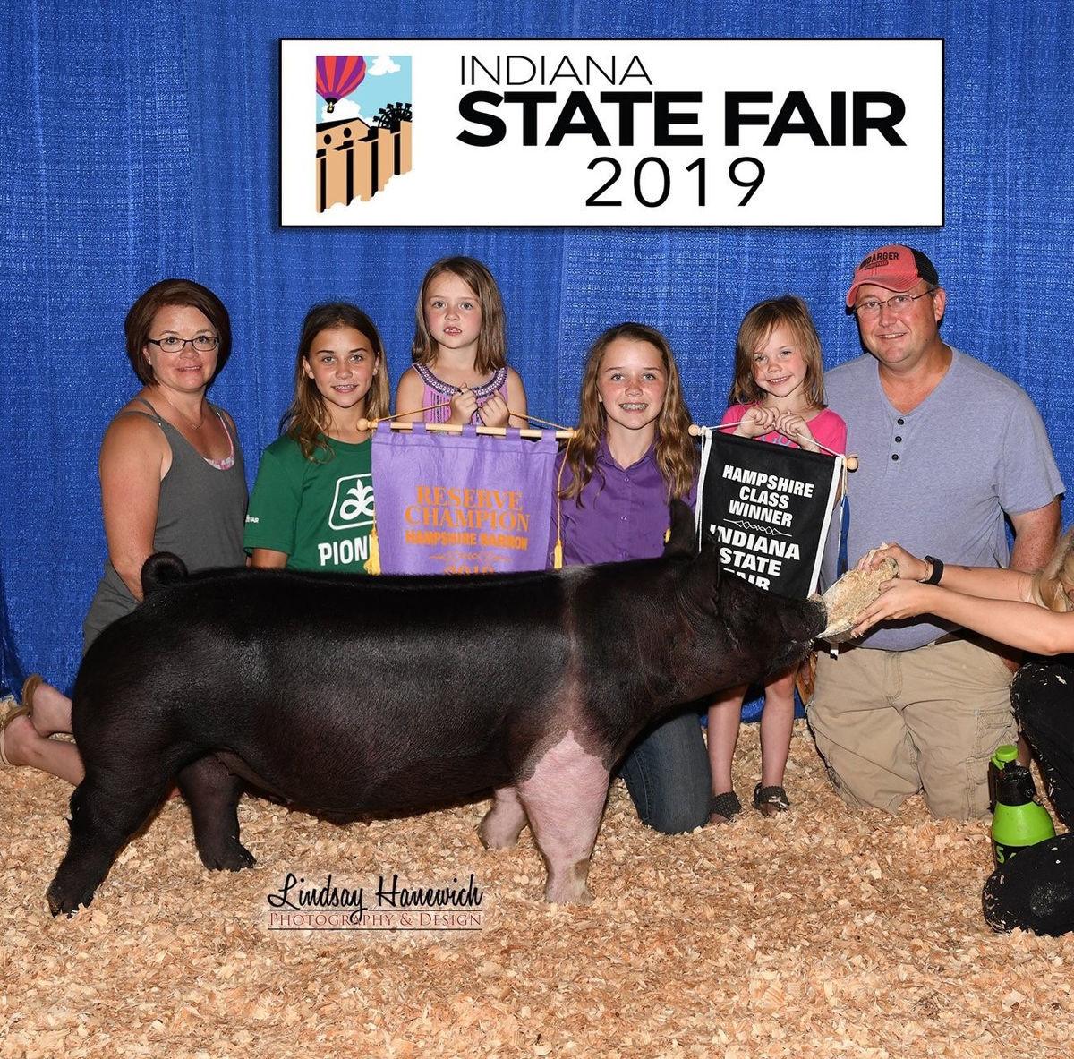 2022 Indiana State Fair Hampshire Boar