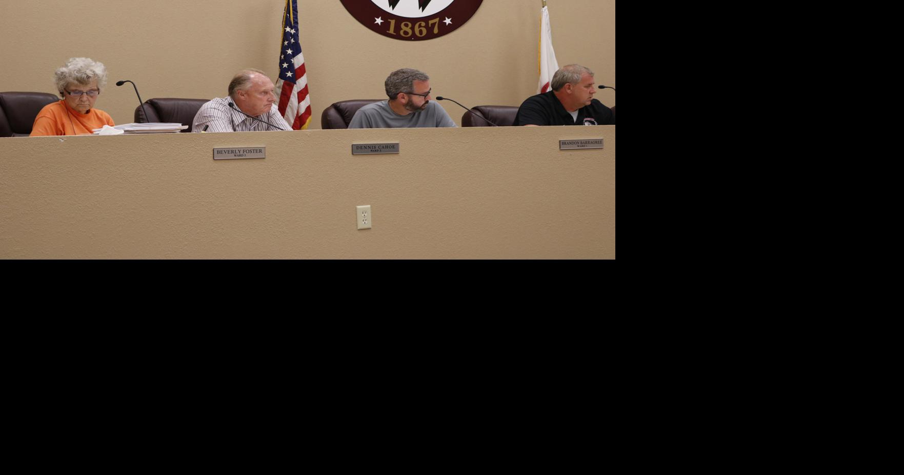 Watseka aldermen hear about several projects Iroquois County s Times