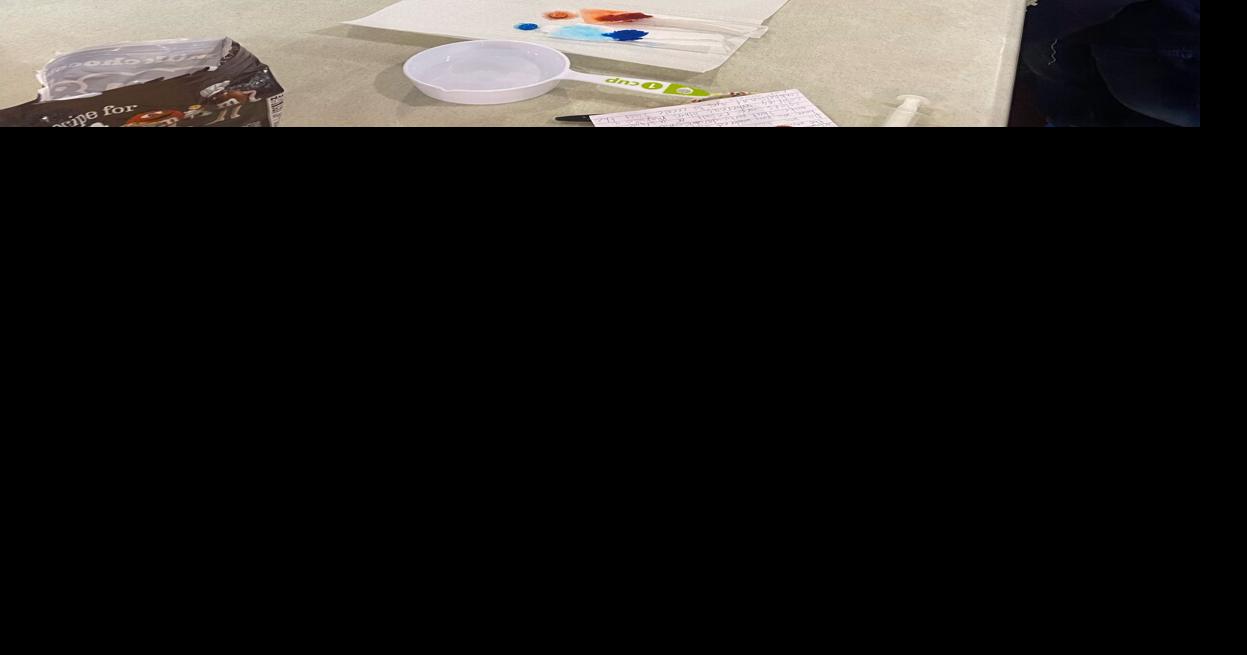 St. Paul’s hosts Science Fair