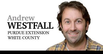 Andrew Westfall column sig