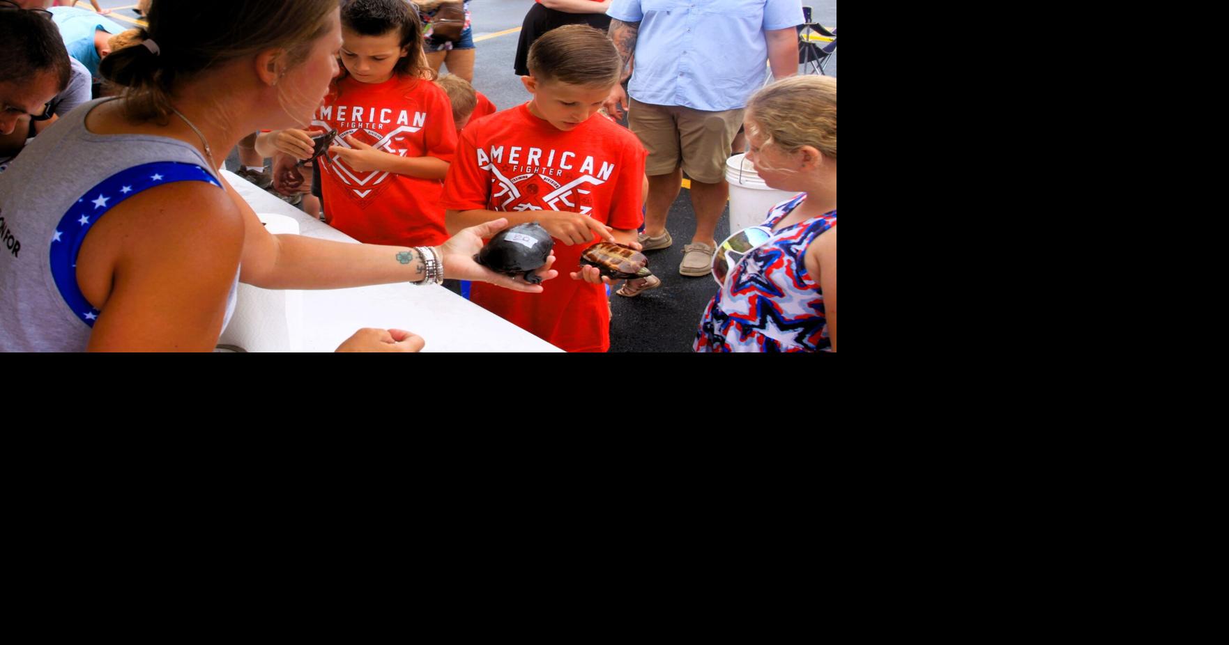 Turtle Races are a ‘Shell’-ebrated Tradition on Hebron 4th | News ...