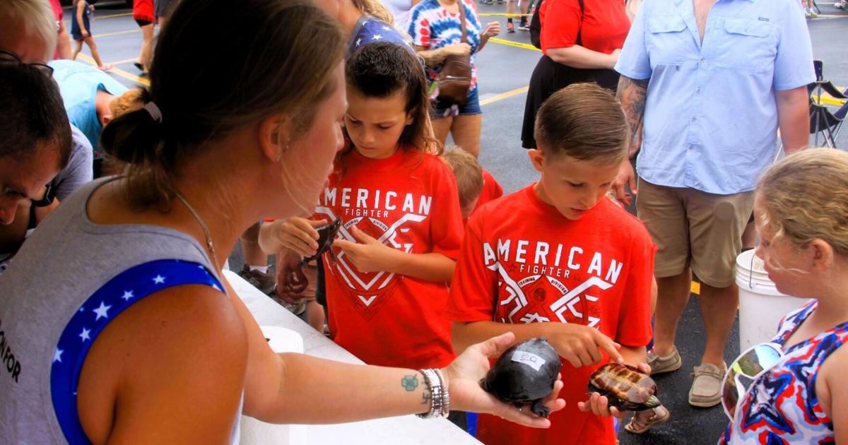 Chicago Steel Turtle Races Turtle Races are a ‘Shell’-ebrated Tradition on Hebron 4th | News ...