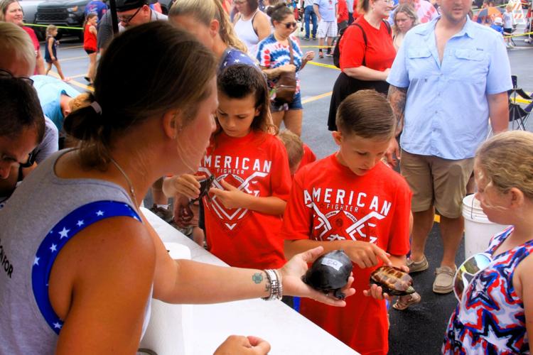 Turtle Races are a ‘Shell’-ebrated Tradition on Hebron 4th | News ...