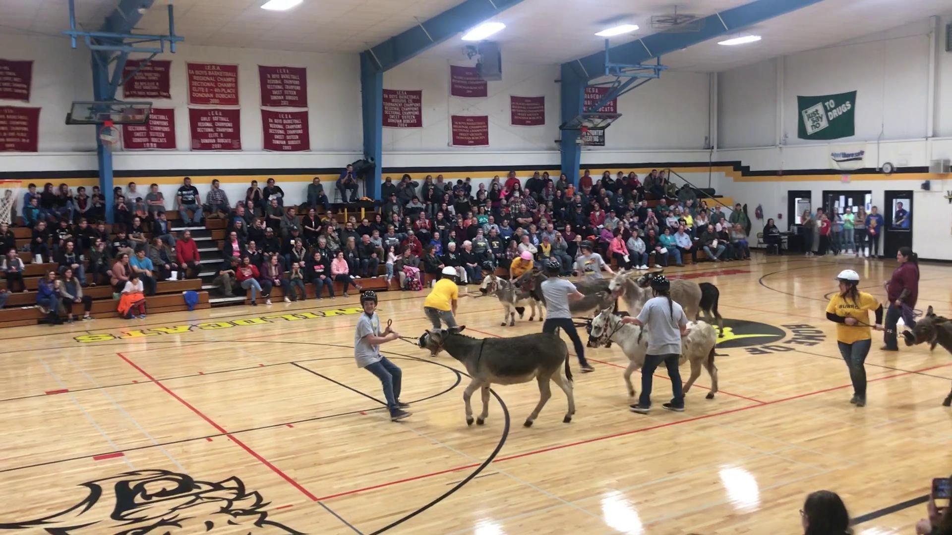 Donovan Ffa And Donovan Staff Compete In Donkey Basketball Event