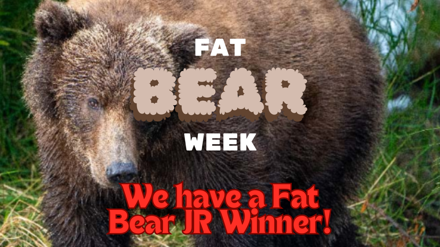 Fat Bear Week 2024 Fat Bear Junior Winner! News newscenter1.tv