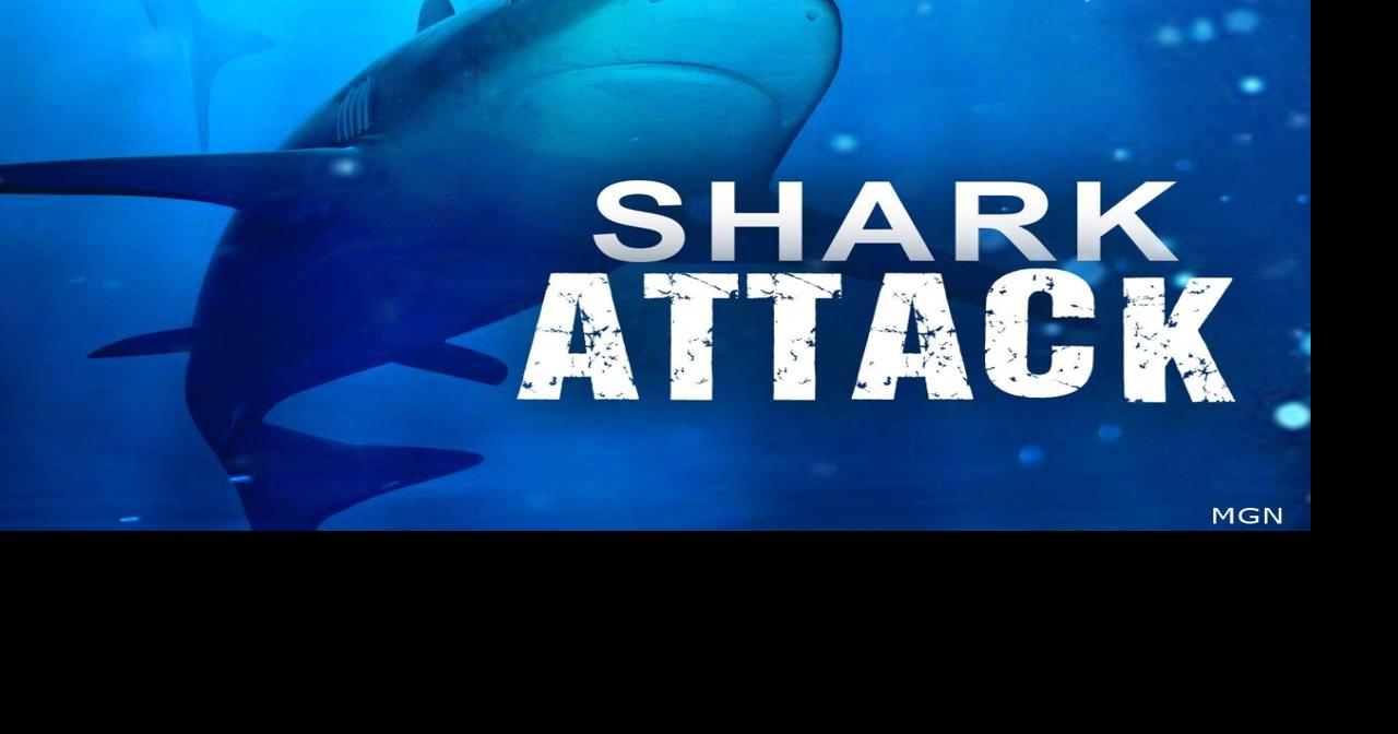 Shark attacks Long Island lifeguard during training exercise | News