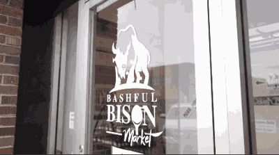 Bashful Bison