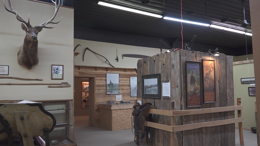 Grand River Museum Preserving the legacy of Lemmon's fossils and