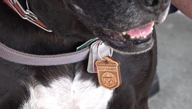 BARK Ranger Dog Collar Tag