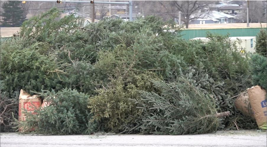 Christmas tree dropoff sites now open News newscenter1.tv