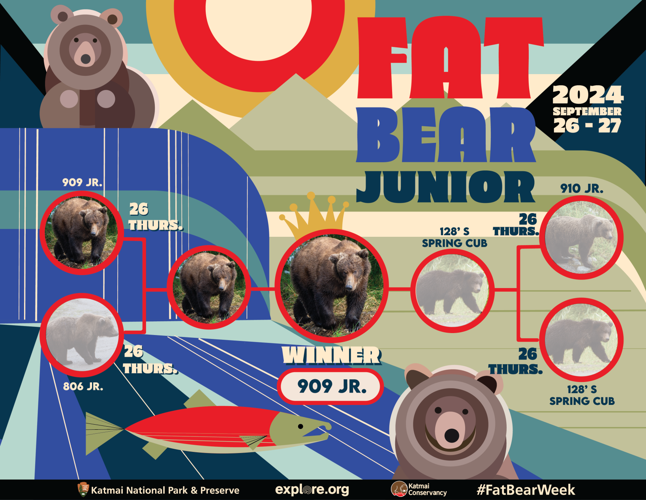 Fat Bear Week 2024 Match 1 and 2 News newscenter1.tv
