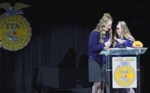 What is the role of a State FFA Officer?