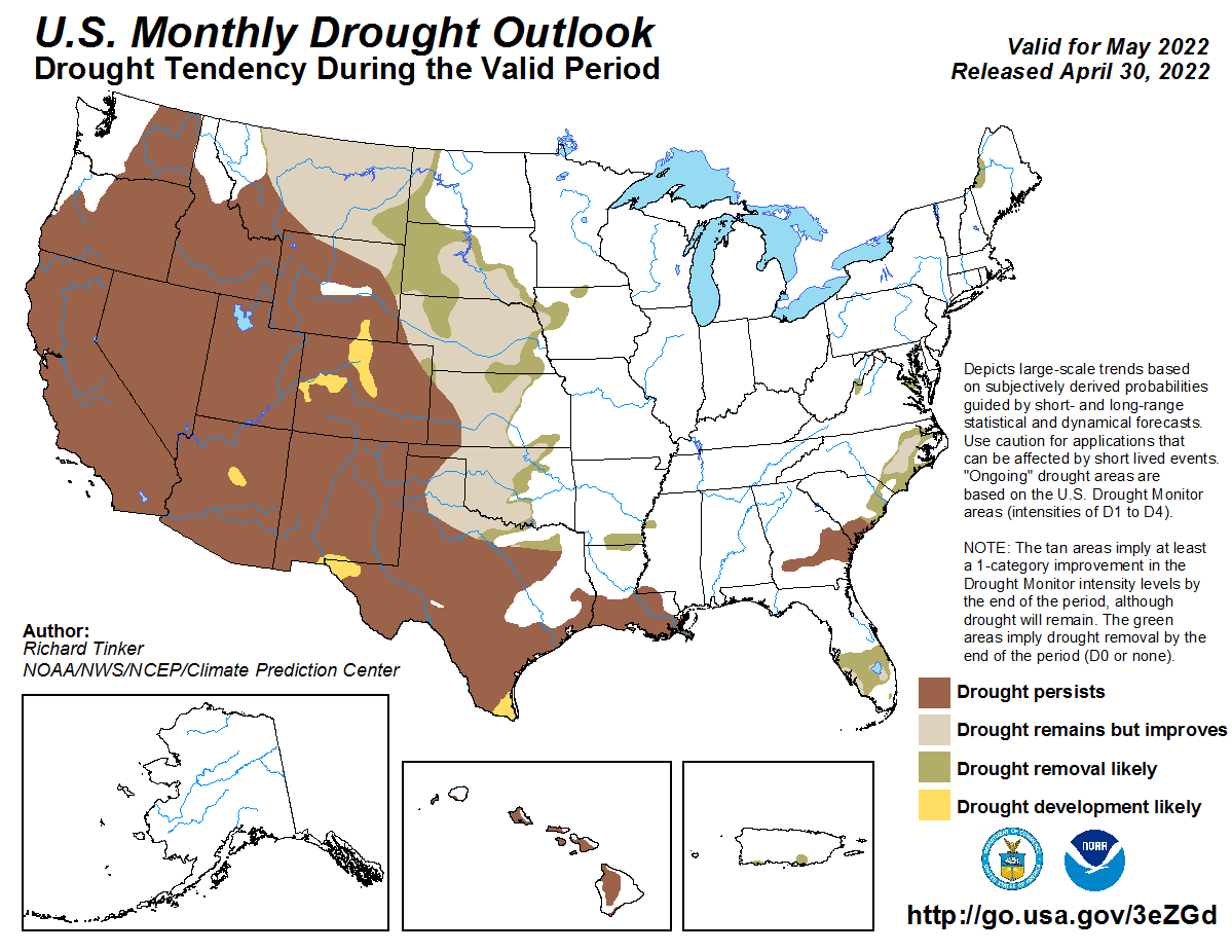 A thread for the best things to come out of the drought era: I'll