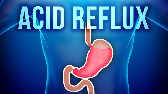 Blue buffalo best sale acid reflux