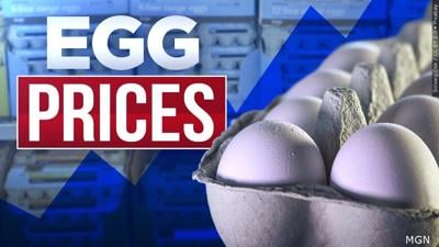 egg prices