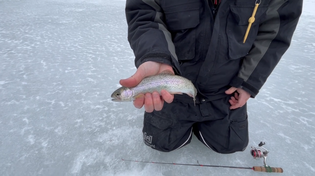 Best Lures for Ice Fishing Lake Trout - Virtual Angling