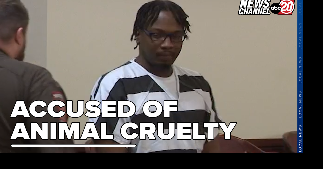 Suspect in Dog Fighting Case Makes Court Appearance | News ...