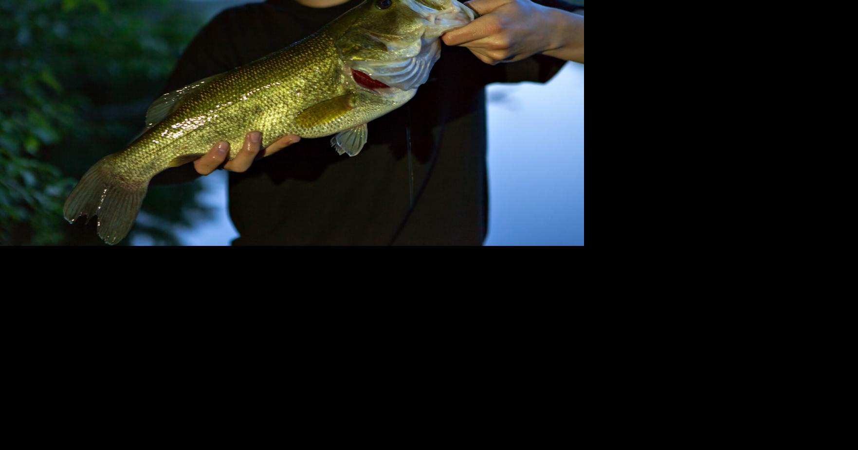 Lake Springfield Host to State Bass Fishing Tournament | News ...